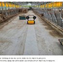 축사농장 | 축사청소 고객님의 만족으로 얻은 건식 바닥청소장비 실사용 장면
