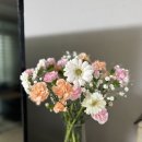 구성꽃백화점 | [대구꽃시장 추천] 가성비 좋은 '대구꽃백화점' 내돈내산 주말 후기