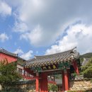 화엄사 | 구례 가볼만한곳 5월의 화엄사 지리산이 품은 웅장한 사찰 입장료 및 뚜벅이 방문 후기