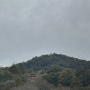 키요민