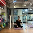 발레핏 코리아(424) | 삼성동 발레핏 코리아 본점: 강남 발레핏 운동 후기