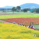 성읍리-23 이미지