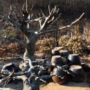 태림농원 이미지