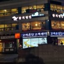 동대참치