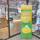 부곡길L 네이버블로그
