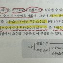 중2, 중3에서 소수 분류에 대한 질문입니다. 이미지