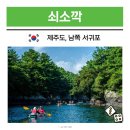 제주도 남쪽 가볼만한곳 쇠소깍 서귀포 놀거리 카약 테우