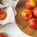 문스팩토리 이미지