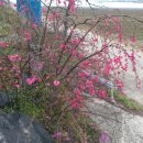 계백농장 이미지