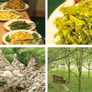 월드허브 이미지