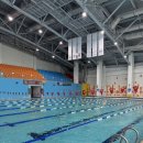 IGC글로벌캠퍼스 수영장 | 인천글로벌캠퍼스 IGC수영장 주차위치 꿀팁