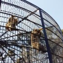 달성공원 이미지