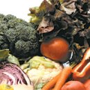 오백년이야기 이미지