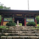 은행나무로 | 양평 가볼 만한 곳 용문사, 주차부터 천년 은행나무까지 다녀온 후기