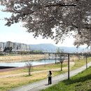 신평동366 네이버블로그