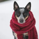 기분좋은날노래연습장(NO.35) | 영어일기 작성시 필요한 날씨관련 영어표현(날씨별 영어문장 100개)