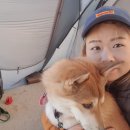 덕구복구