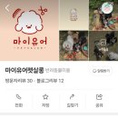 마이유어펫살롱 이미지