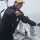 영일1호 이미지