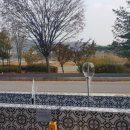 신정호길 이미지