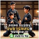 강남합기도 | 강남합기도장 아이들과 함께하는 특별한 합기도 경험