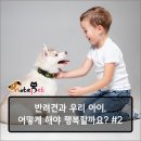 두한성형외과의원