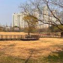 호수공원_원포광장 이미지