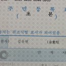 유현동물병원 | 어서와 아빠는 처음이지? _ 첫 아이 출산 후기(2)