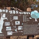 큰길투어