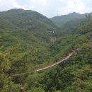 뒷동산농원 이미지