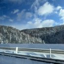 겨울연가 동상 | 삿포로 여행 2일차 < 비에이 투어 - 인디고트래블 >