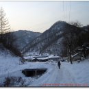덕안농장 Daum카페