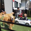 태담이네 하우스 이미지