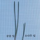 곰솔휴게실
