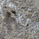 신의 선물-침묵의 살인자, asbestos 이미지