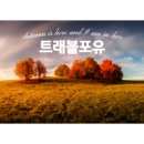 (주)포유트래블 이미지