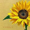 (주)다날엔터테인먼트 이미지