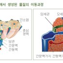 우리정화조