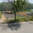 강림면우체국 이미지