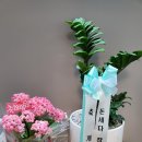 피자정 안양점 이미지