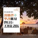 보석팜 디스커버리뉴스