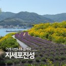 430 | 거제 5월 6월 가볼만한곳 지세포진성꽃동산 라벤더 금계국