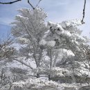 (주)덕유