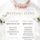 이다캣 | 닥터손유나 캣주사 후기_1회차