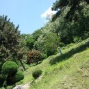 윗대이리 이미지