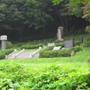 청계산 등산로 이미지