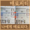 매료피티 네이버블로그