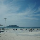 똘내미집 이미지