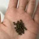 월화수한의원 | 비대면 다이어트 한약 후기 (ft. 월화수한의원/강남다이어트 한약)