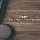 법무법인지재
